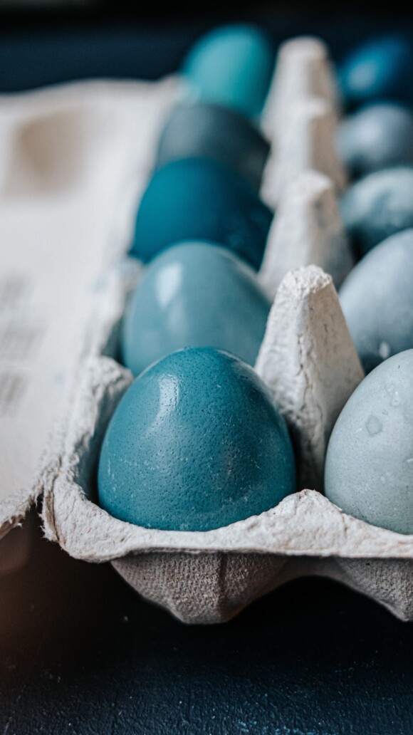 boite d'oeufs couleur bleue